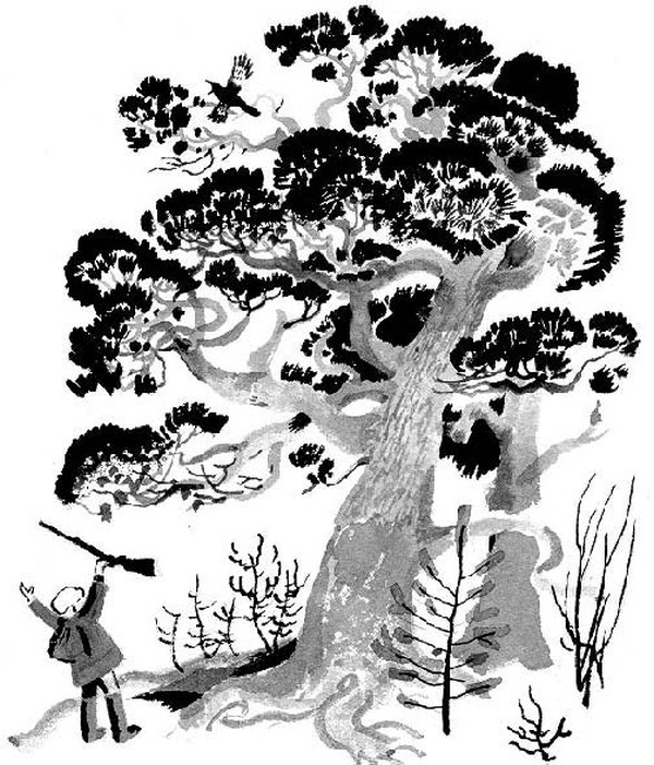 Конь с розовой гривой Конь с розовой гривой