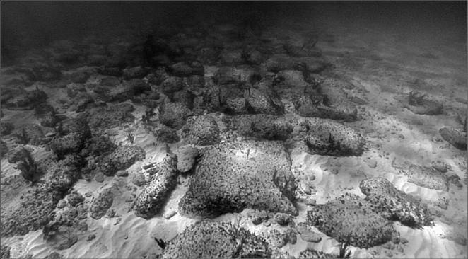 100 великих тайн доисторического мира 100 великих тайн доисторического мира