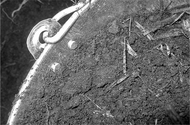 Секреты доброй почвы для чудо-урожая Секреты доброй почвы для чудо-урожая