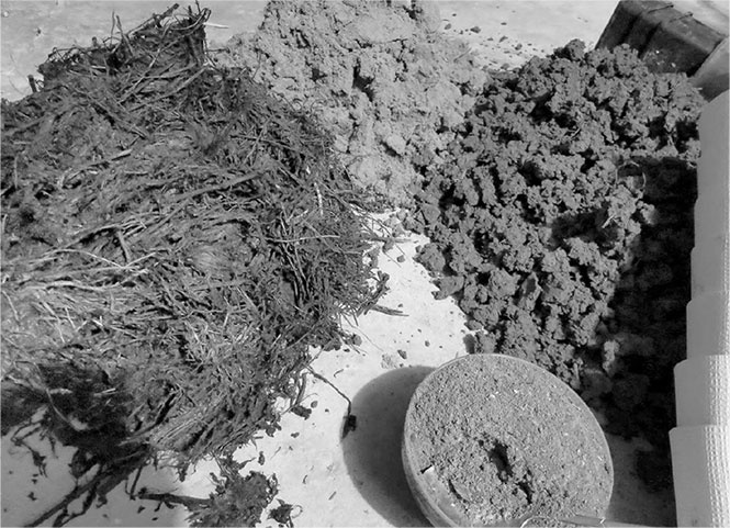 Секреты доброй почвы для чудо-урожая Секреты доброй почвы для чудо-урожая