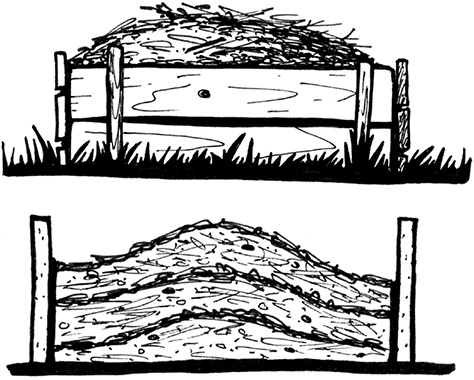 Секреты доброй почвы для чудо-урожая Секреты доброй почвы для чудо-урожая