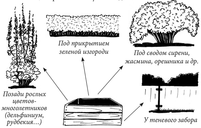 Секреты доброй почвы для чудо-урожая