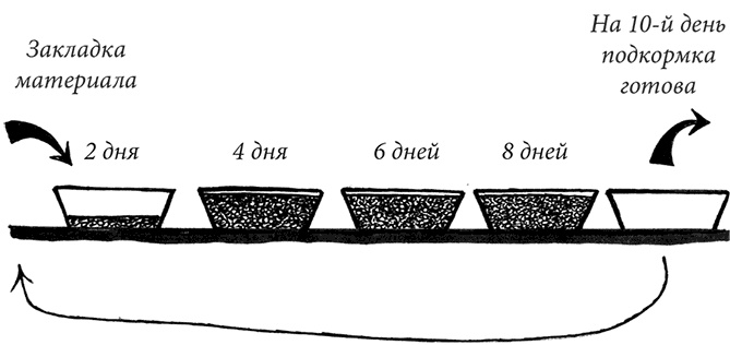 Секреты доброй почвы для чудо-урожая