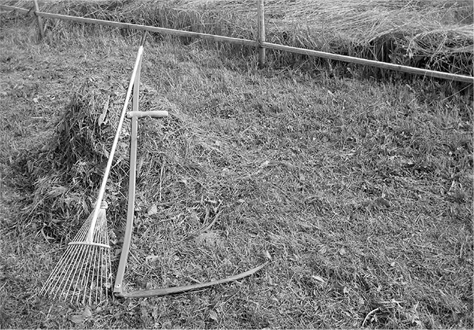 Секреты доброй почвы для чудо-урожая