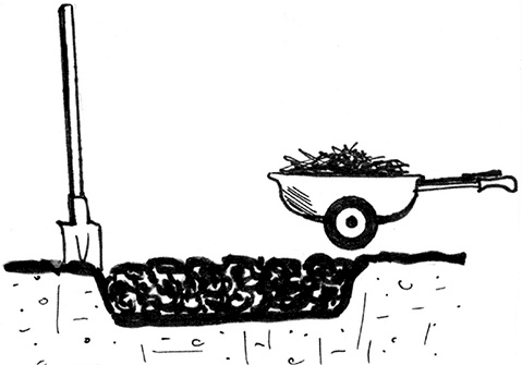 Секреты доброй почвы для чудо-урожая