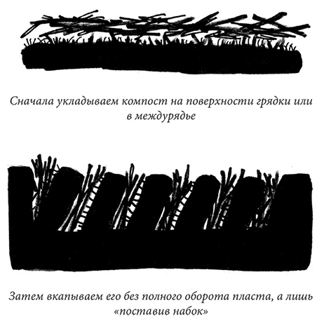 Секреты доброй почвы для чудо-урожая