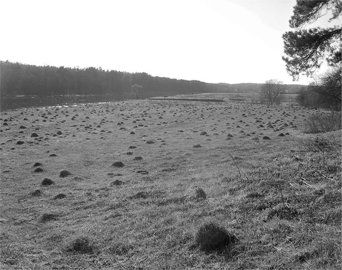 Секреты доброй почвы для чудо-урожая