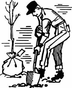 Как создать экосад и сохранить здоровье. Советы врача и садовода с 40-летним стажем! Как создать экосад и сохранить здоровье. Советы врача и садовода с 40-летним стажем!