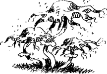 Угрюмый грот Угрюмый грот