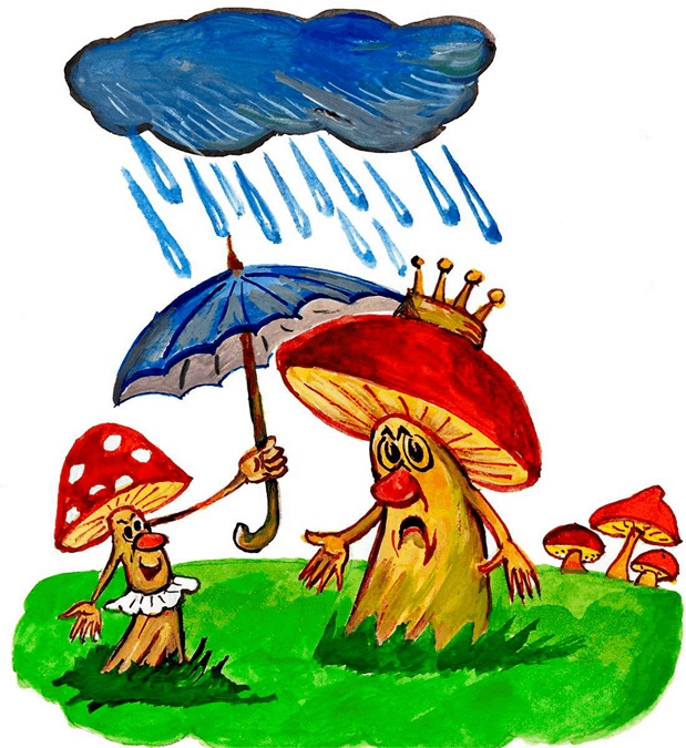 Страна грибов Страна грибов