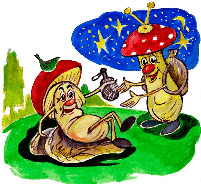 Страна грибов Страна грибов