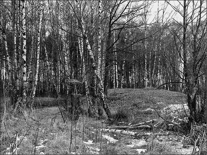 Предания Синих камней Предания Синих камней