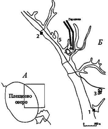 Предания Синих камней Предания Синих камней