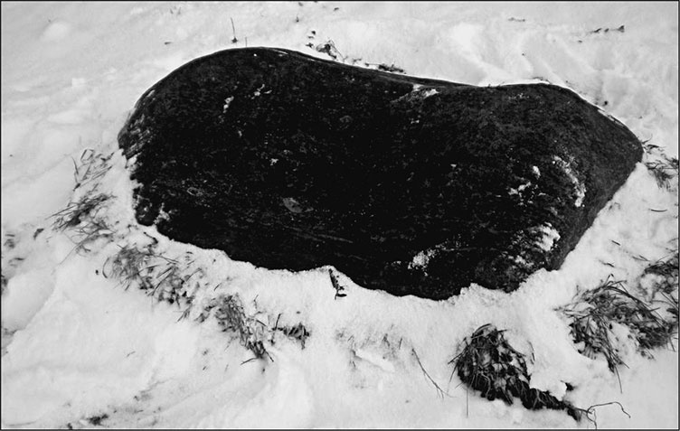 Предания Синих камней Предания Синих камней