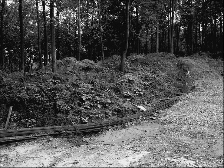 Предания Синих камней Предания Синих камней
