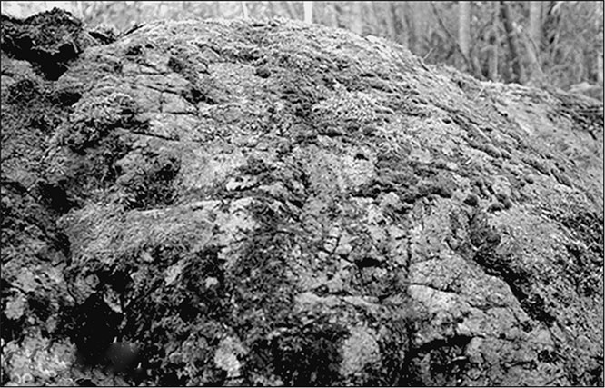 Предания Синих камней Предания Синих камней