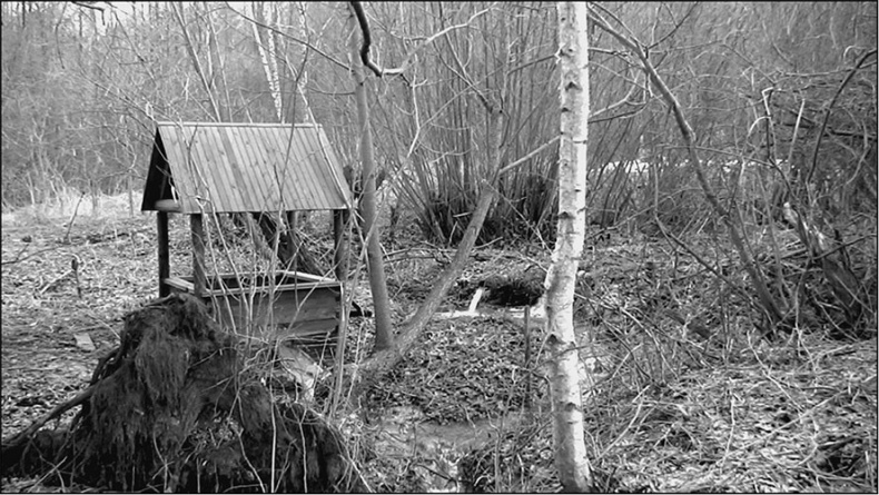 Предания Синих камней Предания Синих камней