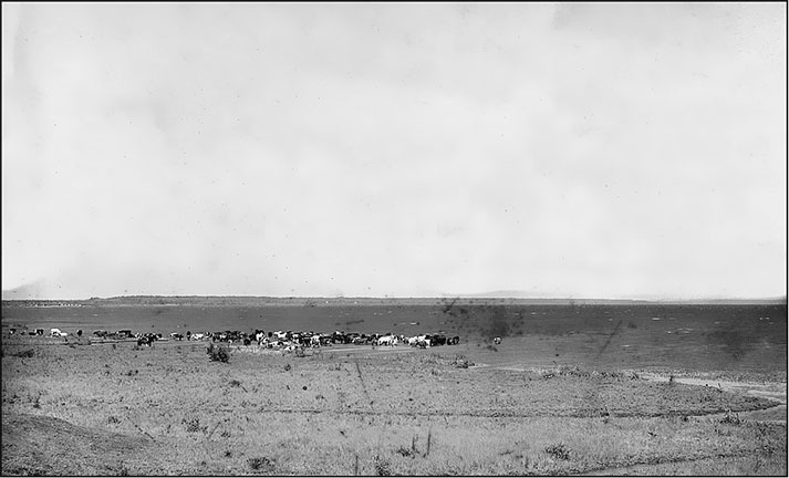 Предания Синих камней Предания Синих камней