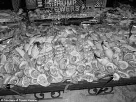 Дональд Трамп. Кошмар неоконов или тонкая игра элит Дональд Трамп. Кошмар неоконов или тонкая игра элит