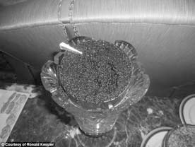 Дональд Трамп. Кошмар неоконов или тонкая игра элит Дональд Трамп. Кошмар неоконов или тонкая игра элит