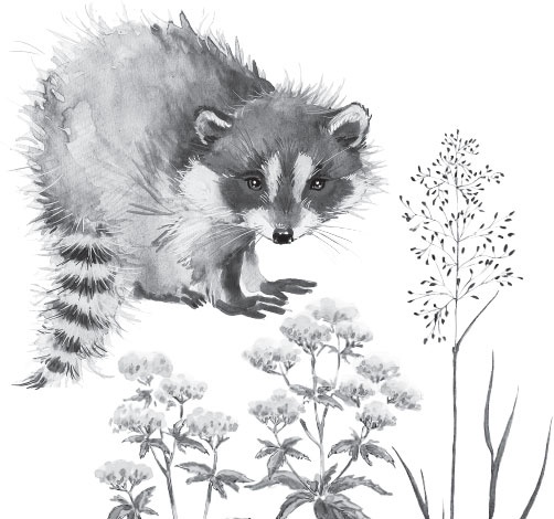 Мои питомцы. С вопросами и ответами для почемучек Мои питомцы. С вопросами и ответами для почемучек