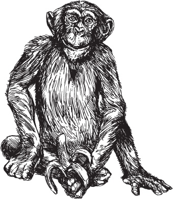 Мои питомцы. С вопросами и ответами для почемучек Мои питомцы. С вопросами и ответами для почемучек