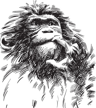 Мои питомцы. С вопросами и ответами для почемучек Мои питомцы. С вопросами и ответами для почемучек