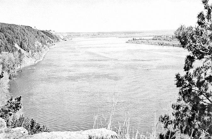 Марина Цветаева. Беззаконная комета