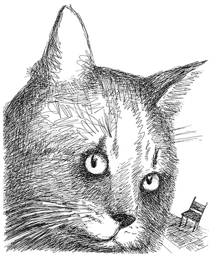 Странные люди Странные люди