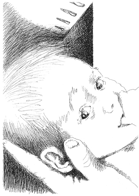 Странные люди Странные люди