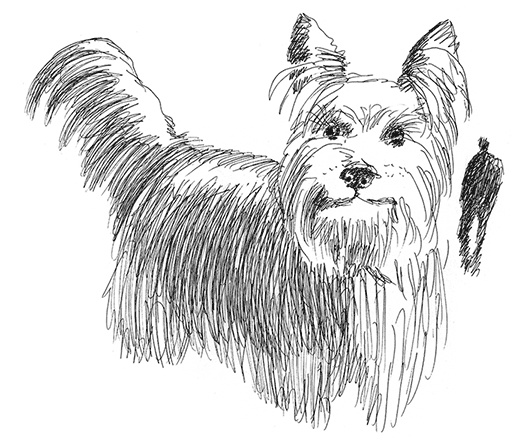 Странные люди