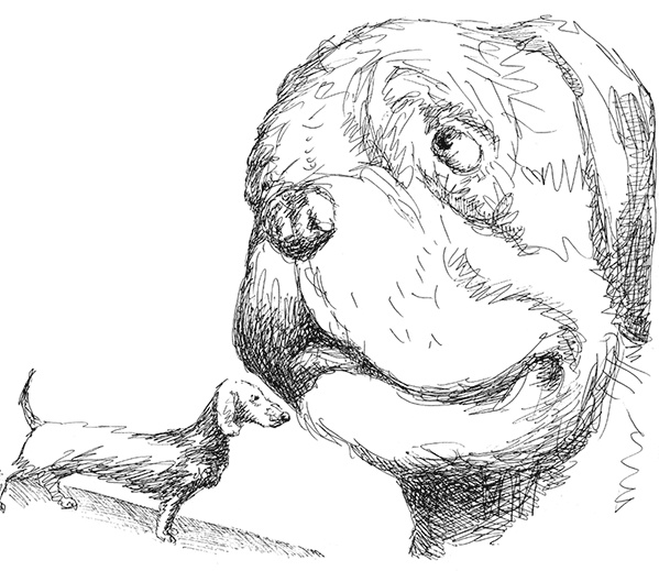 Странные люди