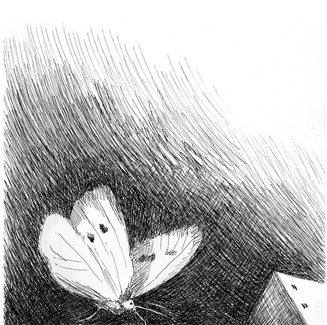 Странные люди