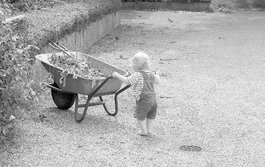 Компетентный малыш Компетентный малыш