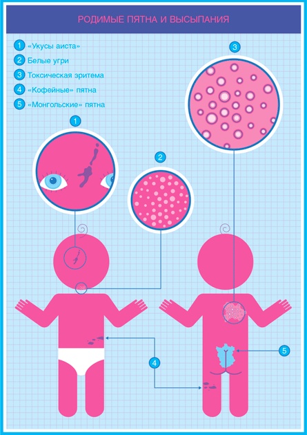 Младенец. Руководство пользователя: Инструкция по эксплуатации, рекомендации по устранению неисправностей, советы по первому году технического обслуживания