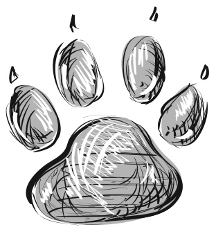 Оуэн & Хаати. Мальчик и его преданный пес Оуэн & Хаати. Мальчик и его преданный пес