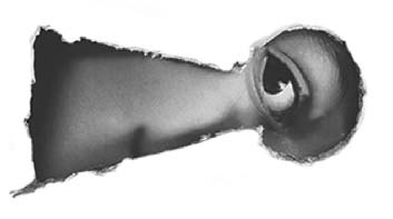 Жизнь: вид сбоку Жизнь: вид сбоку