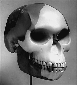 100 великих курьезов истории