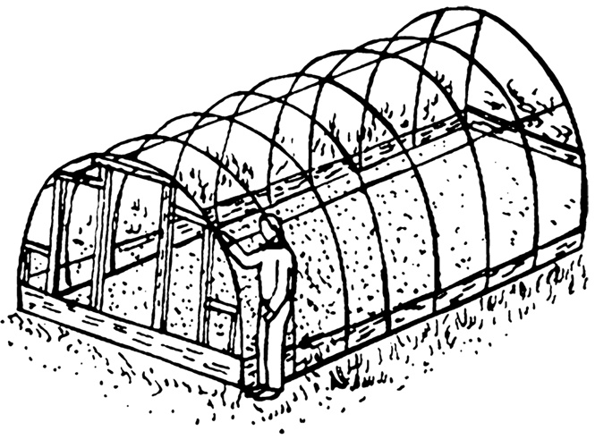 Секреты раннего урожая. Все о парниках, теплицах и подготовке семян Секреты раннего урожая. Все о парниках, теплицах и подготовке семян