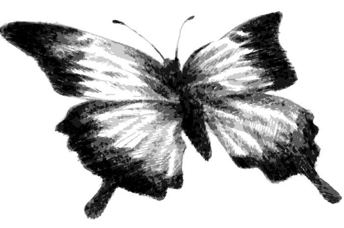 Другая, следующая жизнь