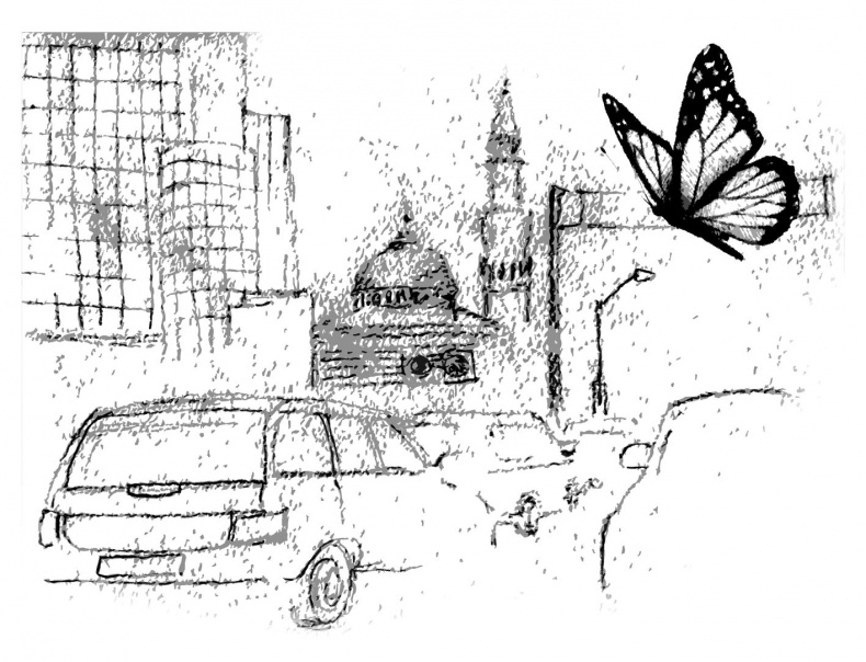 Другая, следующая жизнь