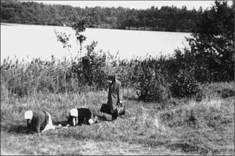 Град Камен. Путешествие в Китеж Град Камен. Путешествие в Китеж