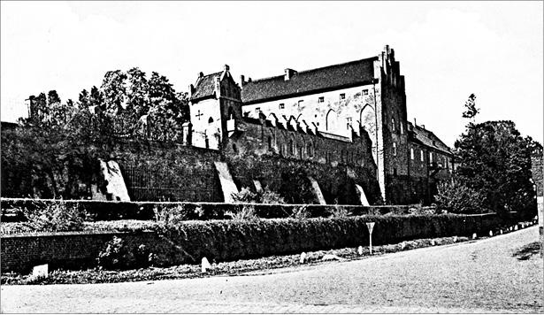 Грюнвальд. Разгром Тевтонского ордена