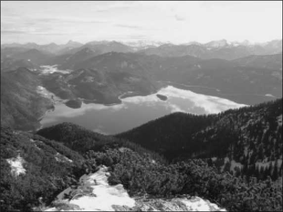 Сокровища Третьего рейха