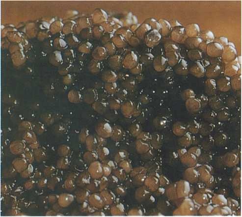 Совершенное сочетание вина и еды