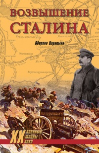 Возвышение Сталина. Оборона Царицына - Владислав Гончаров
