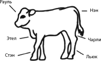 Страна коров