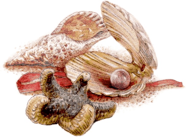 Три наследницы короля Три наследницы короля