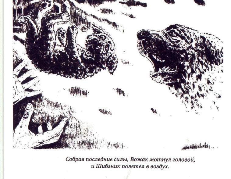 Вожак и его друзья Вожак и его друзья