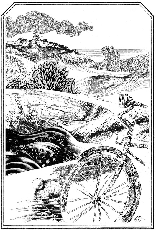 Ашкелонские хроники. 2010 – 2014 (сборник) Ашкелонские хроники. 2010 – 2014 (сборник)